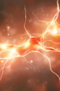Illustration of a glowing orange neuron highlighting nerve impulses, symbolizing neurological health impacted by vitamin E deficiency