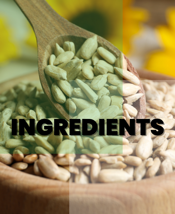 Close-up of sunflower seeds in a wooden spoon, symbolizing natural ingredient sourcing and high-quality raw materials provided by HSF Biotech USA.